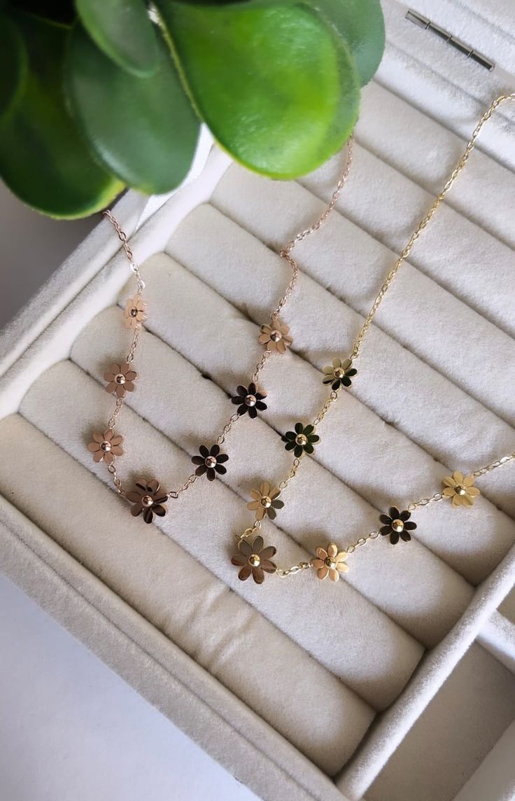 Blossom Petal Shine...